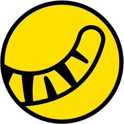 Security Icon