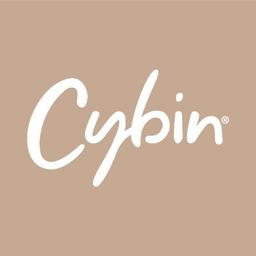 Security Icon