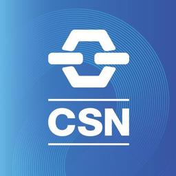 Security Icon